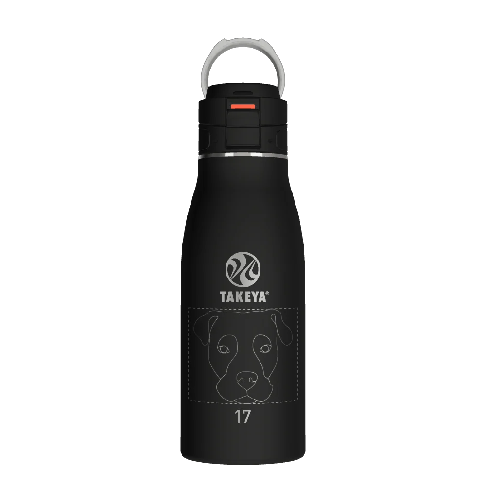 Takeya Traveler Leakproof Coffee Mug - 17oz Onyx